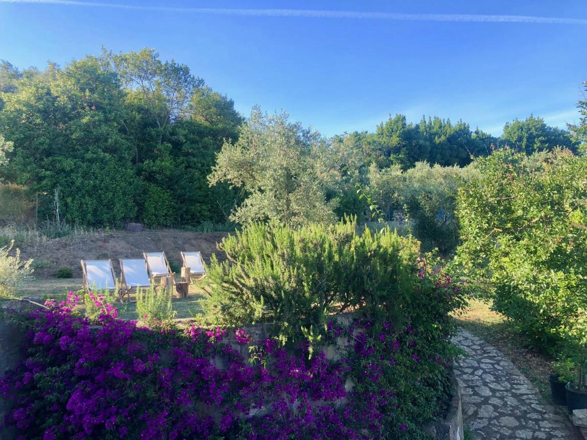 Nostos Casale Bed & Breakfast SantʼAgata sui Due Golfi Eksteriør bilde