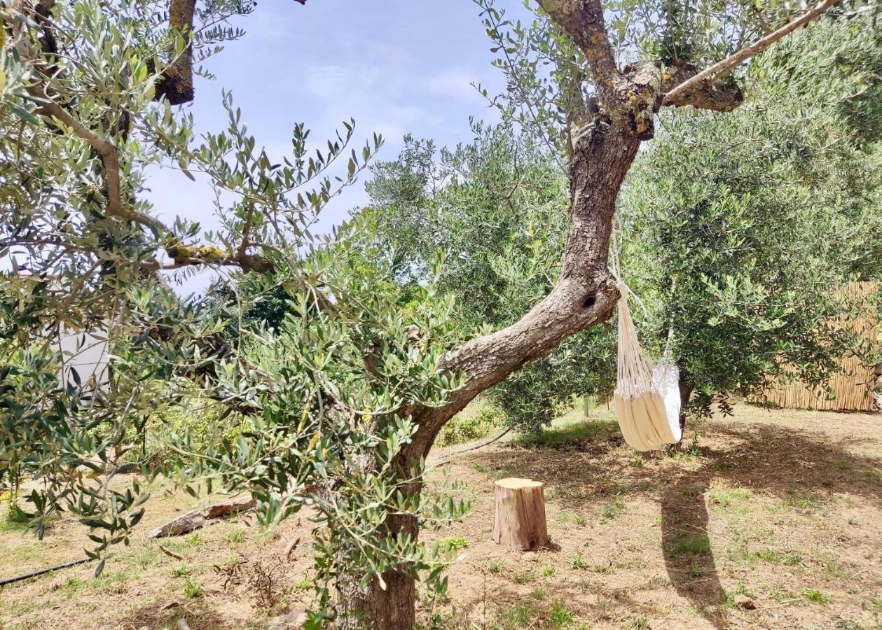 Nostos Casale Bed & Breakfast SantʼAgata sui Due Golfi Eksteriør bilde