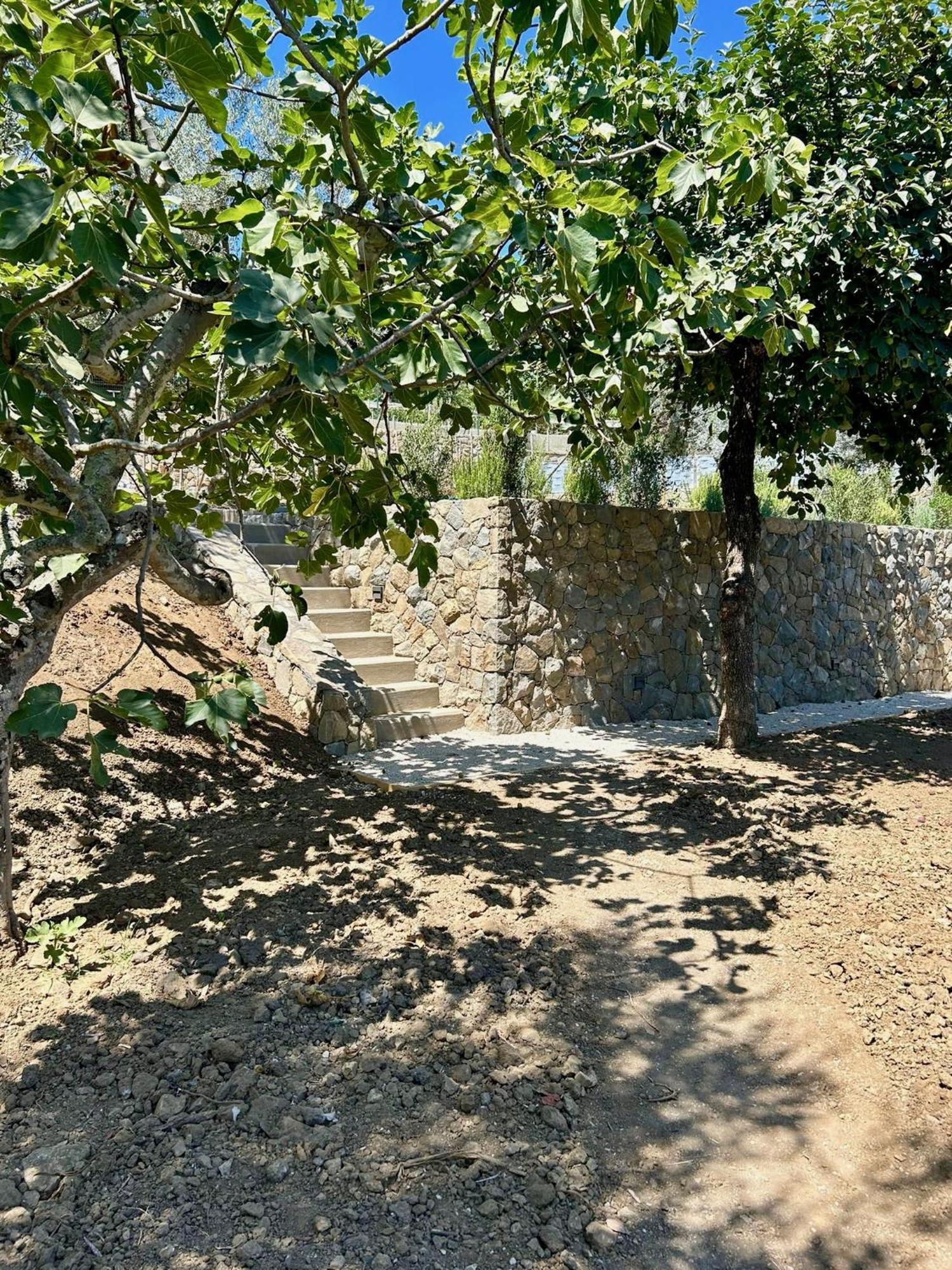 Nostos Casale Bed & Breakfast SantʼAgata sui Due Golfi Eksteriør bilde